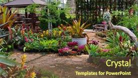 Presentation with home gardening - Theme enhanced with home gardening - landscaped flower garden background and a tawny brown colored foreground
