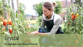  Presentation with home gardening - Amazing presentation theme having home gardening - woman in kitchen garden picking backdrop and a mint green colored foreground