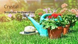  Presentation with home gardening - Slide set featuring home gardening and flower-growing still-life of flower in pot with watering can garden tools on green grass background and a yellow colored foreground
