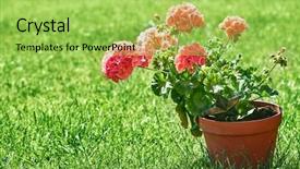  Presentation with home gardening - Audience pleasing PPT theme consisting of home gardening and flower-growing backdrop and a yellow colored foreground