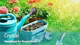  Presentation with home gardening - Audience pleasing theme consisting of home gardening and flower-growing backdrop and a  colored foreground