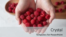  Presentation with grown - PPT theme featuring home grown natural fresh red background and a light gray colored foreground