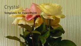  Presentation with grown - Cool new presentation theme with home grown roses backdrop and a yellow colored foreground
