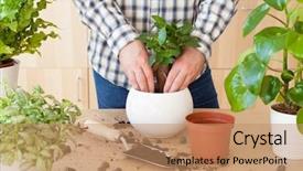  Presentation with home gardening - Presentation design featuring home man relocating ficus houseplant background and a coral colored foreground