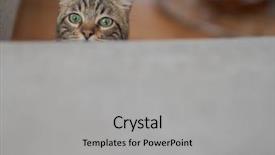  Presentation with hide - Cool new presentation theme with home playing hide and seek backdrop and a light gray colored foreground