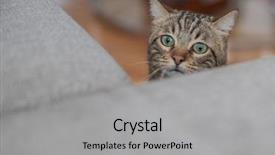  Presentation with hide - Cool new slide deck with home playing hide and seek backdrop and a light gray colored foreground