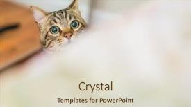  Presentation with hide - Presentation theme with home playing hide and seek background and a lemonade colored foreground