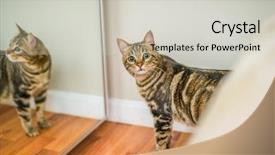  Presentation with hide - PPT layouts having home playing hide and seek background and a light gray colored foreground