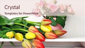  Presentation with storage - Cool new presentation with home storage - beautiful flowers on shelf backdrop and a lemonade colored foreground