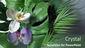  Presentation with home garden - Amazing slide set having home-tropical-garden-tropical-green backdrop and a ocean colored foreground