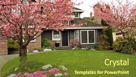  Presentation with gifs falling cherry blossoms - Audience pleasing PPT layouts consisting of home with blossoming cherry tree backdrop and a tawny brown colored foreground