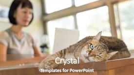  Presentation with free cat - Beautiful presentation theme featuring home with her cat backdrop and a coral colored foreground