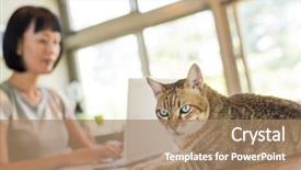  Presentation with cat and moon - Colorful theme enhanced with home with her cat backdrop and a coral colored foreground