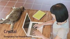  Presentation with free cat - Amazing slides having home with her cat backdrop and a  colored foreground