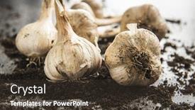  Presentation with bio - Beautiful PPT theme featuring homegrown-white-garlic-bio-garlic backdrop and a tawny brown colored foreground