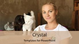  Presentation with animal shelter - Colorful PPT layouts enhanced with homeless cats in animal backdrop and a coral colored foreground