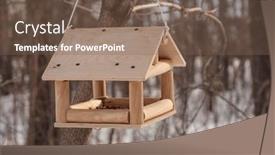  Presentation with helping - Slide set with homemade-bird-feeder-helping-birds background and a violet colored foreground