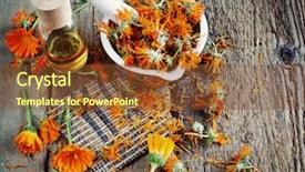  Presentation with calendula - Amazing PPT theme having homemade calendula ointment backdrop and a tawny brown colored foreground