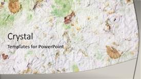  Presentation with dry - Slides featuring homemade paper with dry flowers background and a lemonade colored foreground