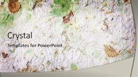  Presentation with dry - Slides enhanced with homemade paper with dry flowers background and a light gray colored foreground