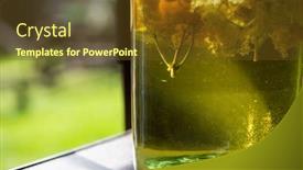  Presentation with syrup - Beautiful slide set featuring homemade-syrup-of-elderberry-flowers backdrop and a tawny brown colored foreground