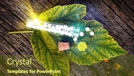  Presentation with lactose - Cool new presentation with homeopathic-lactose-sugar-globules backdrop and a tawny brown colored foreground