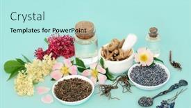  Presentation with root plant - Presentation design enhanced with homeopathic-preparation-of-alternative-herbal background and a arctic colored foreground