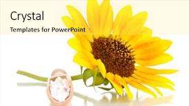  Presentation with homeopathic - Audience pleasing presentation design consisting of homeopathic-tablets-and-flower-isolated backdrop and a yellow colored foreground