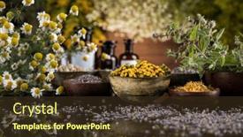  Presentation with homeopathy - PPT theme having homeopathy-herbal-medicine-on-wooden background and a tawny brown colored foreground