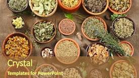  Presentation with crystal natural flower - Slides having homeopatic - natural flower and herb selection background and a red colored foreground