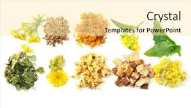  Presentation with crystal natural flower - Beautiful PPT theme featuring homeopatic - natural flower and herb selection backdrop and a blonde colored foreground