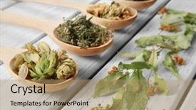  Presentation with crystal natural flower - Slides enhanced with homeopatic - natural flower and herb selection background and a  colored foreground