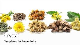  Presentation with herb - Presentation having homeopatic - natural flower and herb selection background and a white colored foreground