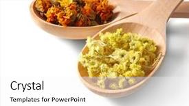  Presentation with herb - Presentation theme enhanced with homeopatic - natural flower and herb selection background and a white colored foreground