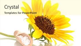  Presentation with homeopathic - Colorful theme enhanced with homoeopathy - homeopathic tablets and flower isolated backdrop and a  colored foreground