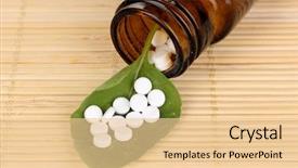  Presentation with green leaf - PPT layouts having chilli - fired papaya salad with seafood background and a tawny brown colored foreground