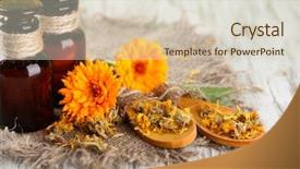  Presentation with calendula - Colorful slide deck enhanced with homoeopathy - medicine bottles and calendula flowers backdrop and a soft green colored foreground