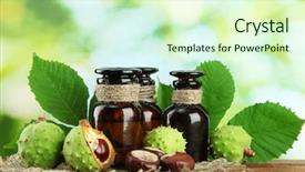  Presentation with green leaves - Colorful presentation theme enhanced with homoeopathy - medicine bottles with chestnuts backdrop and a soft green colored foreground