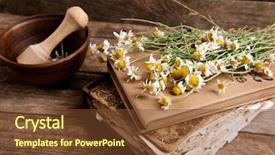  Presentation with old dry tree - Audience pleasing presentation design consisting of homoeopathy - old book with dry flowers backdrop and a tawny brown colored foreground
