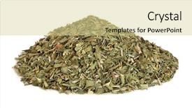  Presentation with alternative medicine - Presentation design with homoeopathy - rue leaf herb used background and a blonde colored foreground