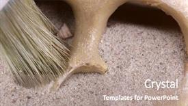  Presentation with human footsteps in the sand - Slides enhanced with aglais io inachis io the european peacock butterfly sitting on the purple phlox flowers background and a coral colored foreground.