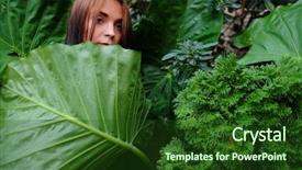  Presentation with horses and girl - Cool new PPT theme with homosapiens - portrait of a young girl backdrop and a  colored foreground