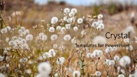  Presentation with beautiful spanish landscape costa blanca - Cool new presentation with honda motos - dandelions on sky background beautiful backdrop and a  colored foreground