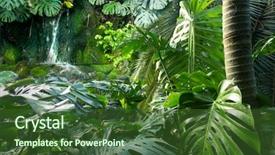  Presentation with jungle - PPT theme with honda motos - dense tropical jungle foliage background background and a tawny brown colored foreground