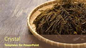  Presentation with sargassum - PPT theme with hondawara-sargassum-fulvellum-delicious-seaweed background and a tawny brown colored foreground