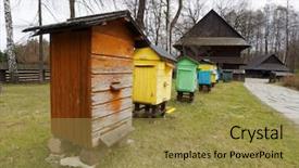  Presentation with museum - Beautiful presentation featuring honey bee ecology - hives in the open-air museum backdrop and a gold colored foreground
