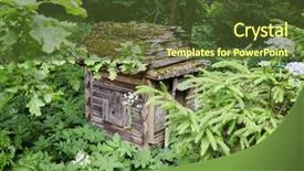  Presentation with forest - Presentation theme consisting of honey bee ecology - old wooden beehive background and a  colored foreground