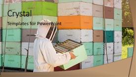  Presentation with honey bee hive - PPT theme with honey bee hive - side view of beekeeper unloading background and a coral colored foreground