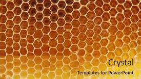  Presentation with honey bee hive - Audience pleasing slide deck consisting of honey beehive backdrop and a gold colored foreground