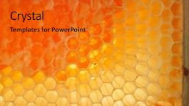  Presentation with honey - Cool new slide deck with beehives - honey beehive backdrop and a gold colored foreground